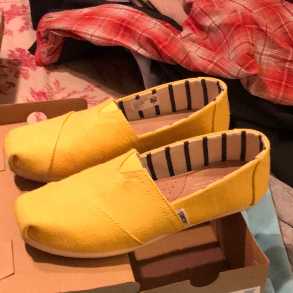 TOMS